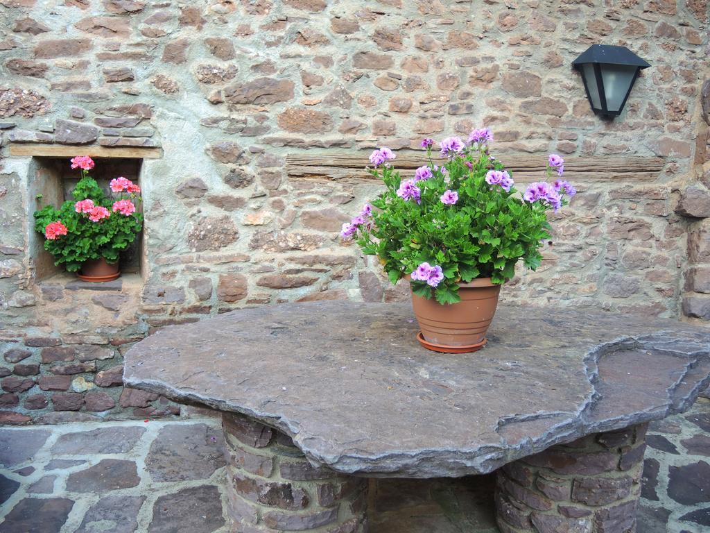 Llagunes Turisme Rural Lo Palle De Cal Bosch מראה חיצוני תמונה