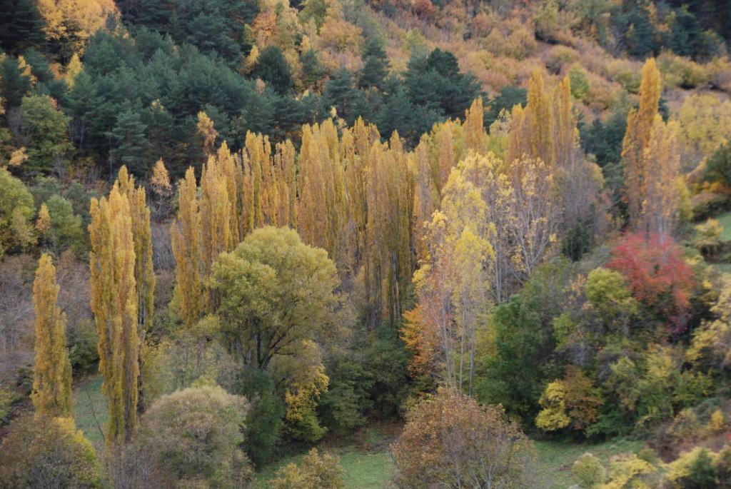 Llagunes Turisme Rural Lo Palle De Cal Bosch מראה חיצוני תמונה