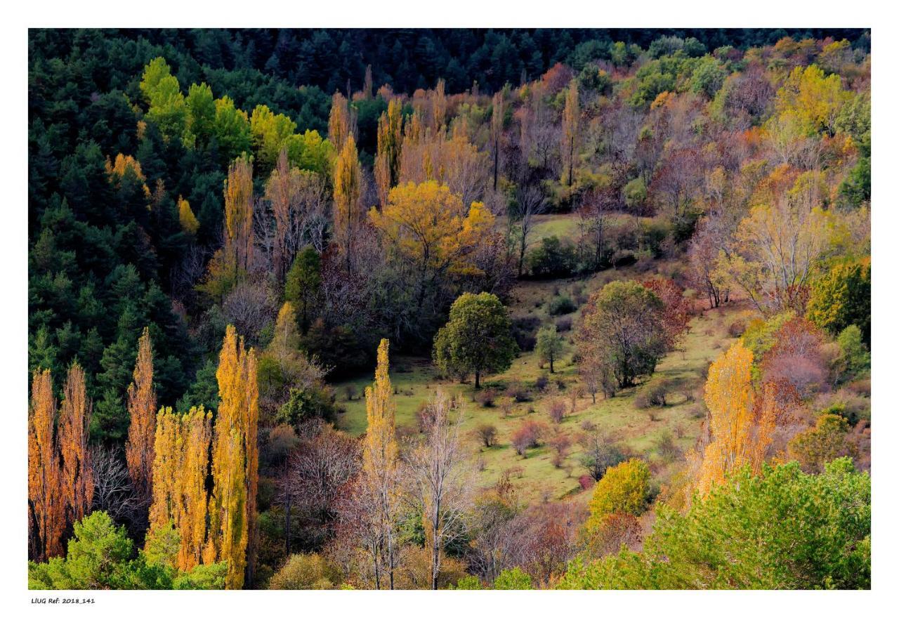 Llagunes Turisme Rural Lo Palle De Cal Bosch מראה חיצוני תמונה